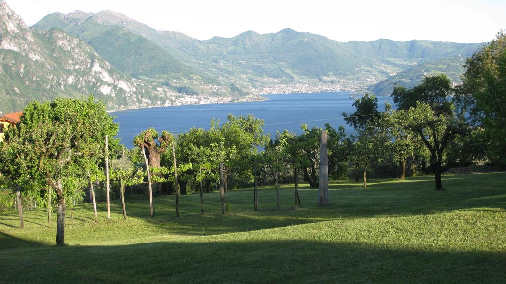 B&B Garden Solto Collina Екстер'єр фото